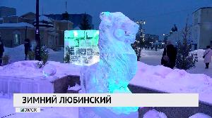 Зимний Любинский