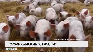 Новости «РБК-Омск» от 30.11.2020