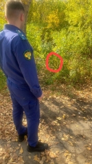 В лесополосе Омской области нашли брошенного младенца