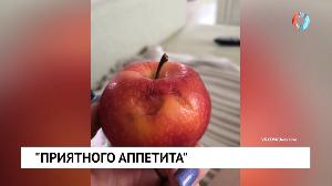 Новости «Омск-ТВ» от 24.02.2021