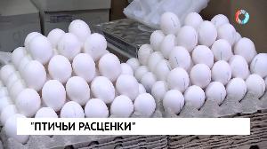 Новости «Омск-ТВ» от 17.02.2021