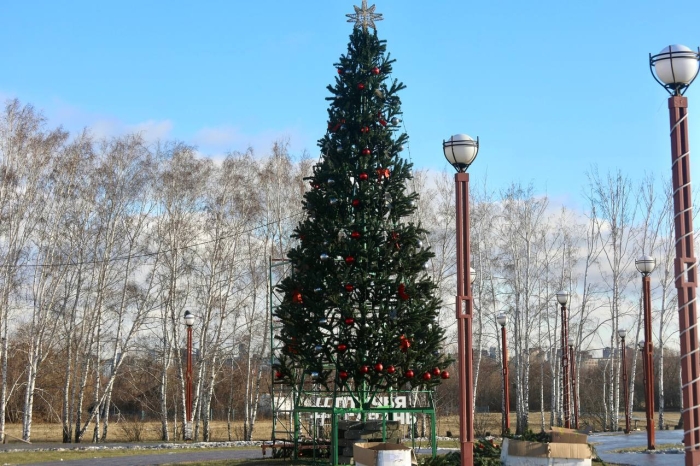 «Птичья гавань» готовится к зимней сказке!