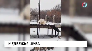 Новости от 09.12.2025