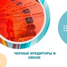 В Омске выявили 22 незаконные микрофинансовые организации