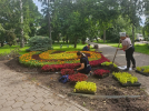 В парках Омска высадят 30 тысяч цветов и редкие деревья