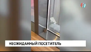 Новости от 15.12.2025