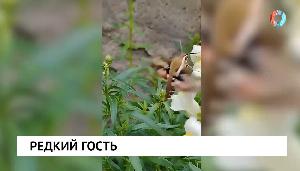 НОВОСТИ 13.08.2026