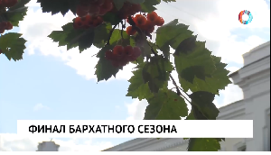 Новости от 22.09.2025