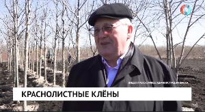 Новости от 20.04.2026