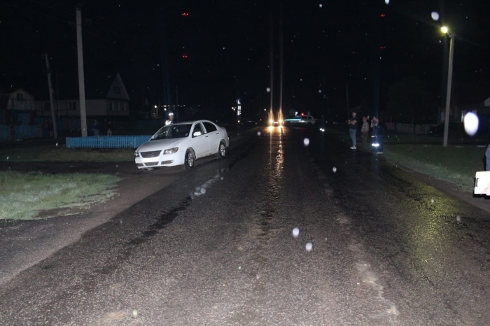 В Омской области автомобилист сбил двух человек