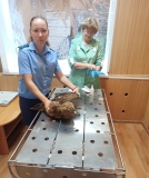 Сотрудники прокуратуры Крутинского района спасли птицу, занесенную в Красную книгу