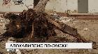 Новости "РБК-Омск" от 30.04.19