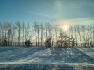 В Омской области столкнулись два снегохода: есть погибшие
