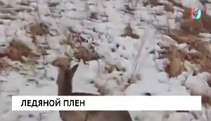 Новости от 01.12.2025