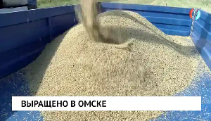 Новости от 20.01.2026