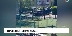 Новости от 18.05.2026