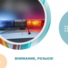 В Омской области полиция разыскивает водителя, который сбил пешехода