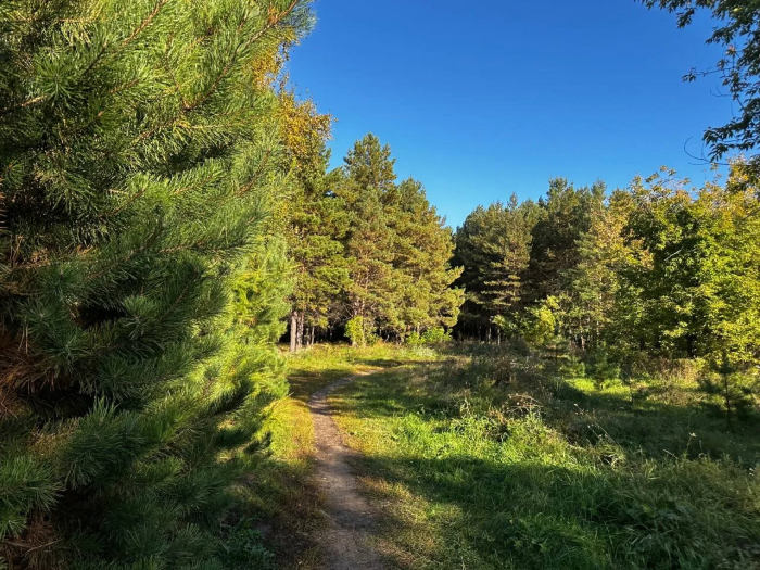 В Омской области вводят особый противопожарный режим: что запрещено