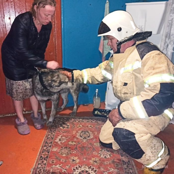 Омские сотрудники МЧС спасли собаку во время пожара