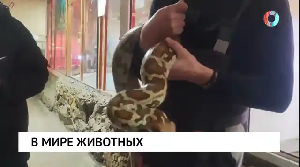 Новости от 30.01.2026