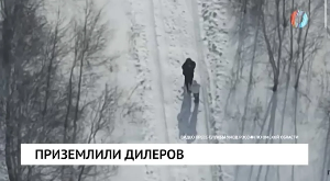 Новости от 27.02.2026