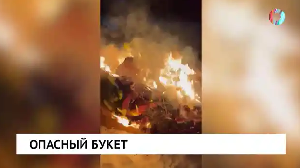 Новости от 25.11.2025