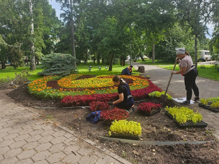 В Омске высадят еще две тысячи деревьев и кустарников