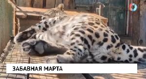 НОВОСТИ 26.08.2026 НОВОСТИ 26.08.2026