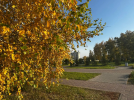 В Омскую область идет долгое бабье лето В Омскую область идет долгое бабье лето