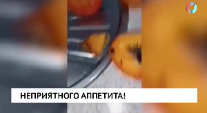 Новости от 20.11.2025 Новости от 20.11.2025