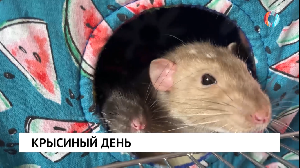 Новости от 04.04.2025 Новости от 04.04.2025