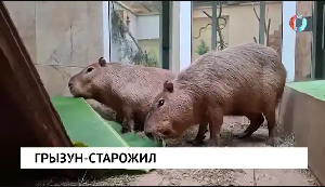 Новости от 06.02.2026 Новости от 06.02.2026