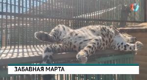НОВОСТИ 27.08.2026 НОВОСТИ 27.08.2026