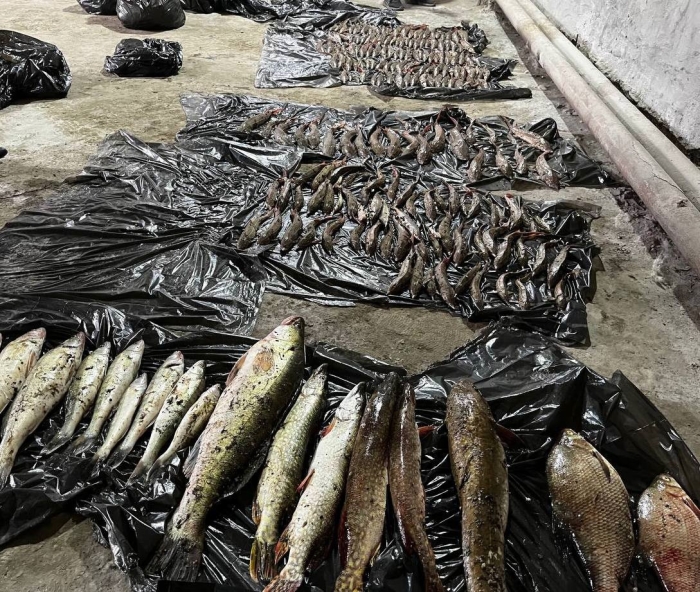 Двум омичам грозит уголовная ответственность за ловлю рыбы