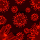 Карантин из-за вспышки бешенства ввели в трех районах Омской области Карантин из-за вспышки бешенства ввели в трех районах Омской области