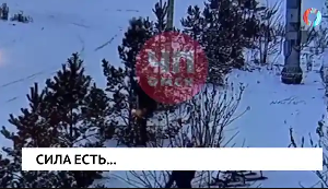 Новости от 02.12.2025 Новости от 02.12.2025