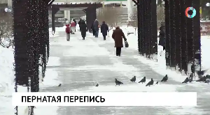 Новости от 12.02.2016 Новости от 12.02.2016