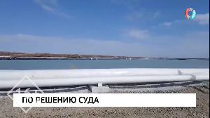 Новости от 08.04.2025 Новости от 08.04.2025