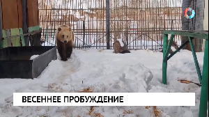 Новости от 18.03.2025 Новости от 18.03.2025