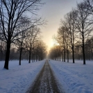 Погодные качели в Омске: от экстремальных -35° до весенней оттепели за два дня Погодные качели в Омске: от экстремальных -35° до весенней оттепели за два дня