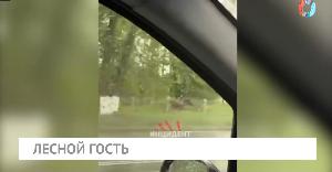 Новости от 21.05.2026 Новости от 21.05.2026