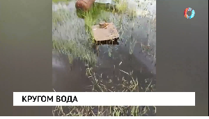 Новости от 05.09.2025 Новости от 05.09.2025