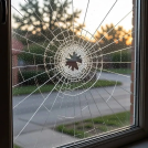 Пьяный омич хотел отомстить знакомой, но случайно расстрелял окна пенсионерки Пьяный омич хотел отомстить знакомой, но случайно расстрелял окна пенсионерки