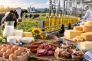 Омские аграрии увеличили выпуск продукции сельского хозяйства Омские аграрии увеличили выпуск продукции сельского хозяйства