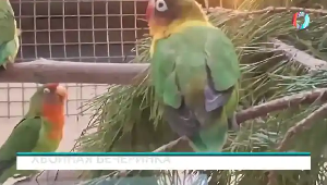 Новости от 04.02.2026 Новости от 04.02.2026